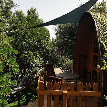 Ma Cabane Au Fond Du Jardin Porto-Vecchio  Exterior photo