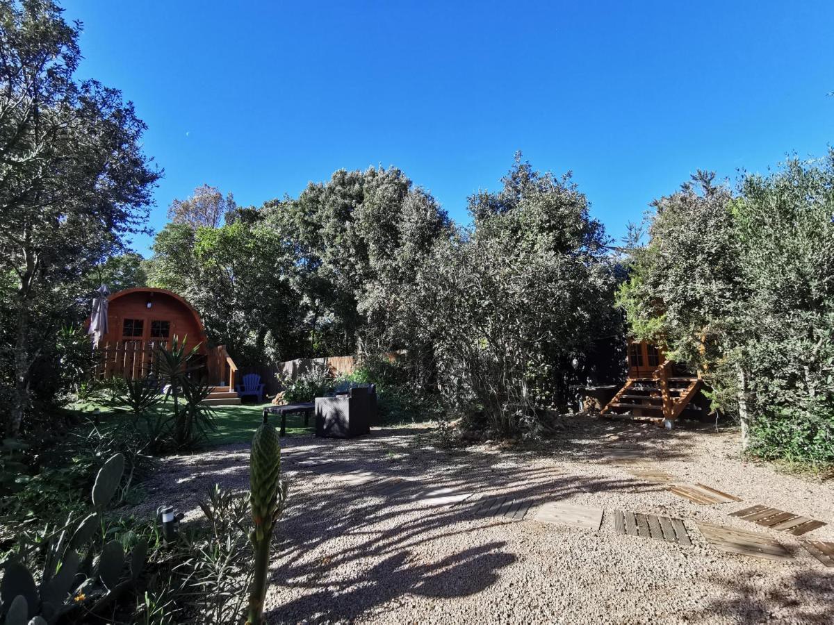 Ma Cabane Au Fond Du Jardin Porto-Vecchio  Exterior photo